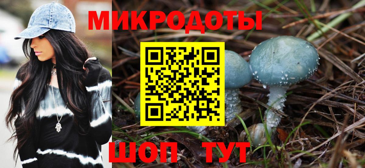 Благодарный  Псилоцибиновые грибы Psilocybe  Вход с VPN  Псилоцибиновые грибы Cubensis 